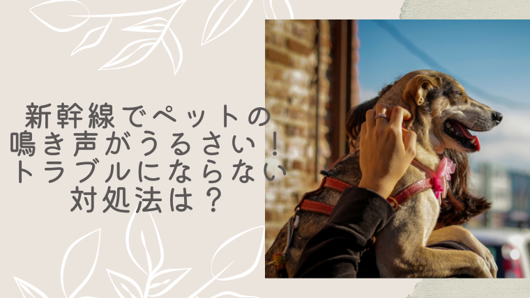 非常識 新幹線でペットの鳴き声がうるさい トラブルにならない対処法は I Love Net